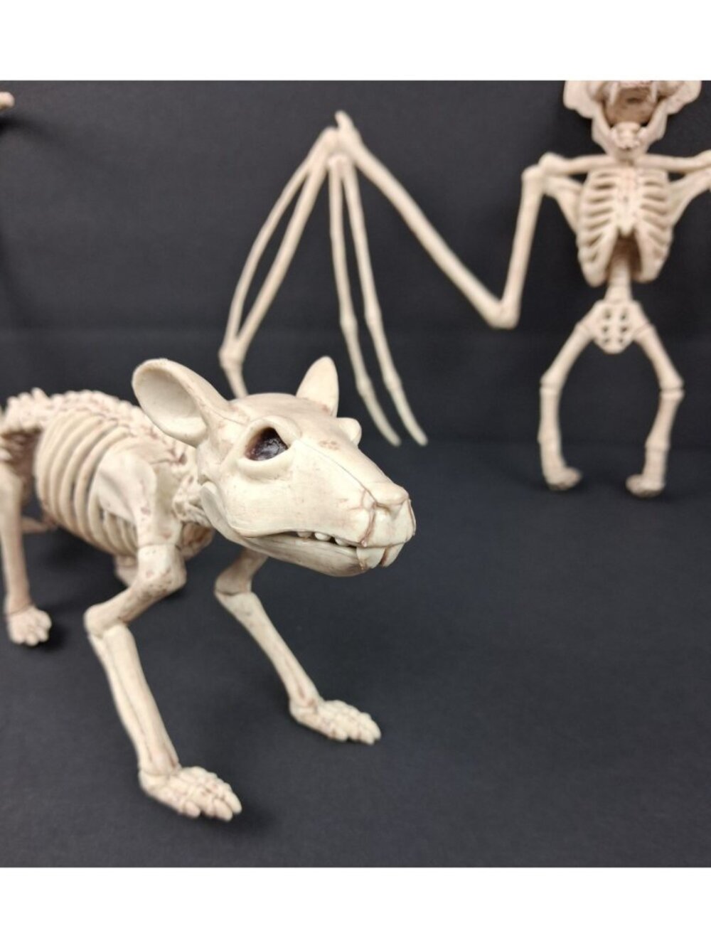 Creepy Skeleton Bat & Rat Figurines Spooky Home Decor - Picture 3 of 10